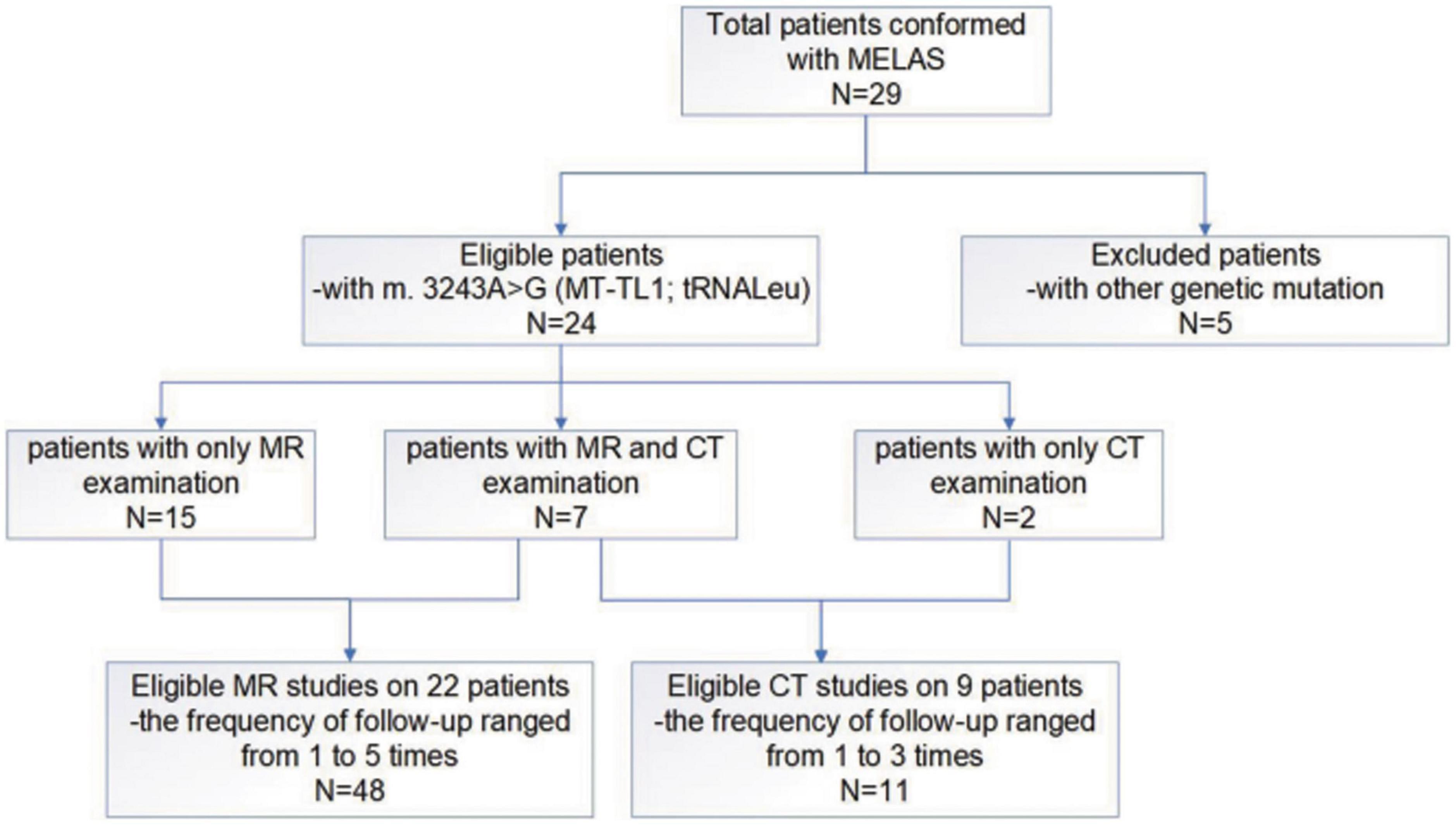 Mitochondrial encephalomyopathy with lactic acidosis and stroke-like episodes with an MT-TL1 m.3243A>G point mutation: Neuroradiological features and their implications for underlying pathogenesis